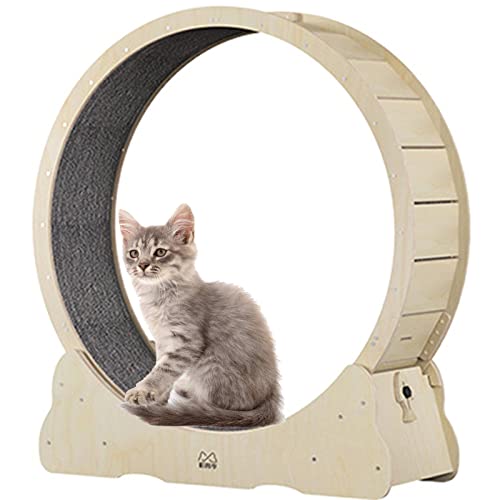 Laufrad für Katzen, Indoor-Katzen-Trainingsrad, Laufrad für Katzen mit austauschbaren Griffpolstern, leise und geräuschlos, Größe L, Grün (Holzfarbe, XL) von AYUE