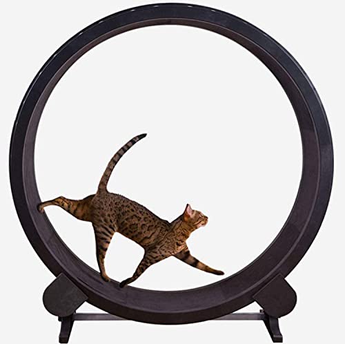 Laufrad für Katzen, Laufmaschine für Haustiere, 122 cm (48 Zoll), Laufband für Katzen, super leise, Aktivitätsbaum für Katzen, zum Laufen, Drehen, Kratzen von AYUE