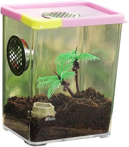 Reptile Feeding Box,Stick Enclosure Praying Mantis Enclosure Gecko Terrarium Small Terrarium Jumping Spider Enclosure Reptile Breeding Box Clear Acrylic Reptile Terrarium Feeding Box For Spider von AYULYA