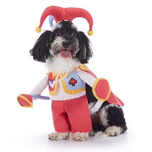 AZA Halloween-Kostüm für Hunde, Baumwolle, Kürbis, Cosplay, Fledermaus für Haustiere, Hemd, Haustier, Jungenmantel für kleine Hunde, niedliches T-Shirt, Katzenmädchen, Outfits, Hundepullover, von AZA