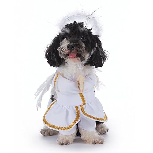 AZA Halloween-Kostüm für Hunde, Baumwolle, Kürbis, Cosplay, Fledermaus für Haustiere, Hemd, Haustier, Jungenmantel für kleine Hunde, niedliches T-Shirt, Katzenmädchen, Outfits, Hundepullover, von AZA