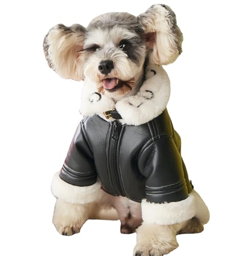 Hundekostüm, schwarze Lederjacke, Kaltwettermantel, Bär, Baumwollpullover, Kleidung für Haustiere, Jungen für kleine Hunde, niedliche Katze, Mädchen, Outfits, Hundepullover, Winterkostüme (Größe L, von AZA