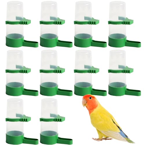 AZIDWERYQ 10pcs Automatische Vogelwasserfuttermittel -Kunststoff -Vogeltrinker -Spender für Papageienpapart Pigeon Quail Lovevirds Trinkflasche von AZIDWERYQ