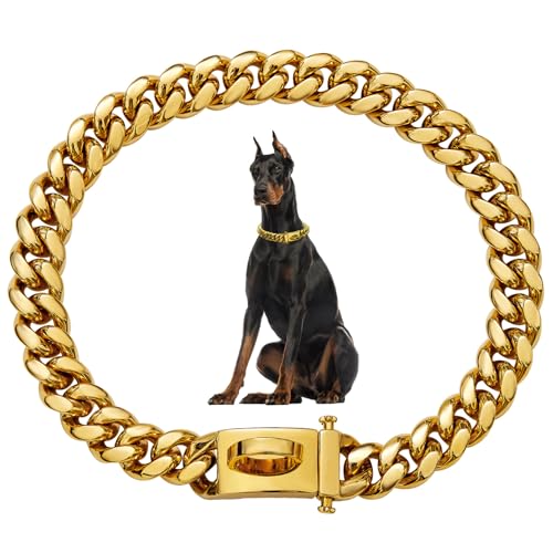 AZIDWERYQ Hundekettenkragen 19mm Dicke Gold Metallhundkragen Edelstahl Hundekette mit Schnalle Starke Heavy Dut Hunde Halskette von AZIDWERYQ