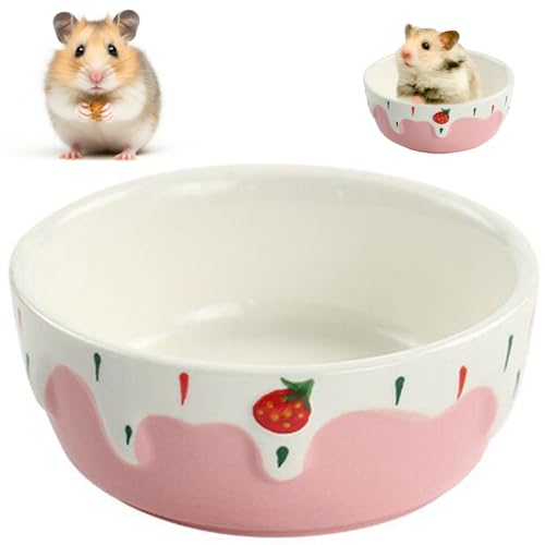 Hamster Keramikschale 3,5 x 1,4 Zoll Cartoon Muster Meerschweinchen-Lebensmittelschale, leicht zu reinigende kleine Tiere Anti-Drehung Wasserschale für Kaninchen Hamster Meerschweinchen Igel Eichhörn von AZIDWERYQ