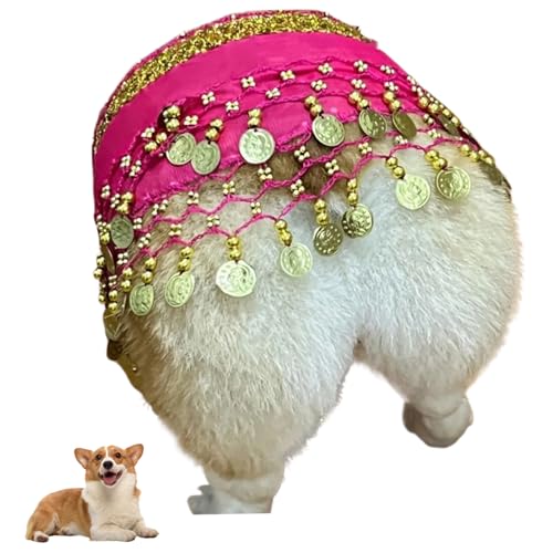 AZIDWERYQ Hundekostüm, Hundetänzer Kostüm, Haustierkostüm Kleidung, Hundeparty Dress Up, Welpenbauchdanz Hip Wrap Belt Hunde Kostüm von AZIDWERYQ