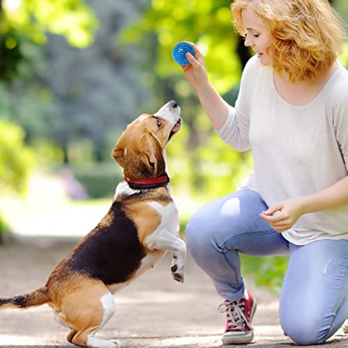 Aaoehiewp 3-Farben-Welpen-Kauspielzeug für das Zahnen Nicht-Stachelhund für mittlere große kleine Hunde Langlebige Hundespielzeug für Aggressive Kauer von Aaoehiewp