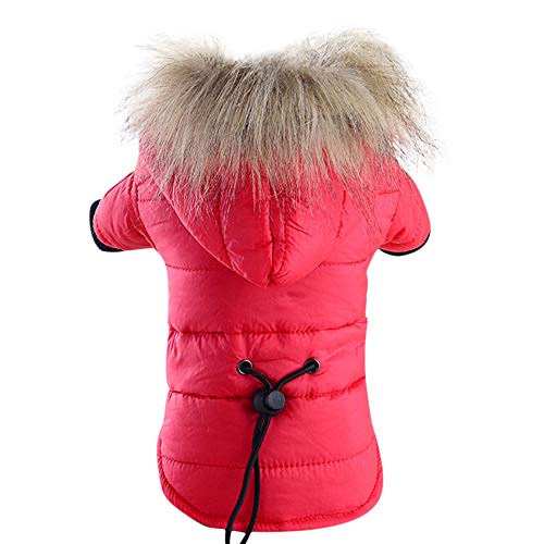 Aaoehiewp Haustier Hund Warm Down Baumwolle-Wattierte Jacke Kostüm Welpe Winter Clothe Hoodie Mäntel von Aaoehiewp