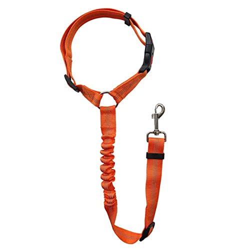 Fettlederleine 6 Mm kreisförmiger Ring, elastisch einziehbar, Streifen, Hundeseil Karabiner Für Hundeleinen Kaufen (Orange, One Size) von Aaoehiewp