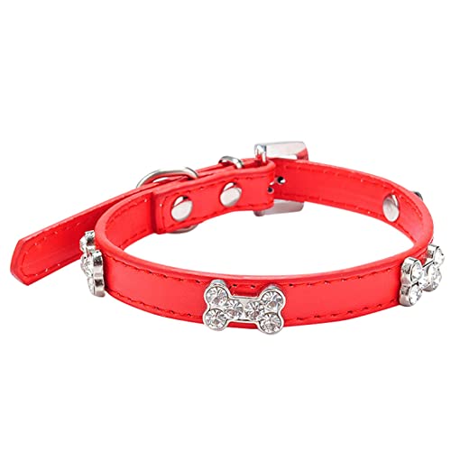 Hundehalsbänder Kaufen Knochenschmuck Hundehalsband kleine mittlere Hundekette Hundehalsbänder Kaufen (L) von Aaoehiewp