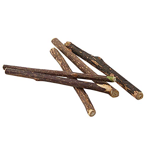 Klein für 10PC Holz Schwein Haustier Papagei Sticks Kaninchen Haustier von Aaoehiewp