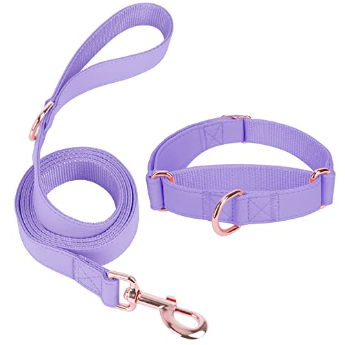 Martingale Hundehalsband aus weichem Leder – verstellbare Roségold-begrenzte Rutschhalsbänder [leicht zu reinigen], stilvolles, langlebiges, mittelgroße und große Hunde (S, Set lila) von AaufiLux