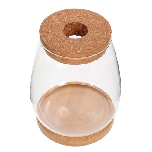 Abaodam 1Satz Hydrokultur Terrarium mit Deckel Dekoratives Pflanzgefäß für Moos und Pflanzen für Tischdekoration Wohnzimmer Büro Abaodam 1Satz Hydrokultur Terrarium mit Deckel Dekoratives Pflanzgefäß für Moos und Pflanzen für Tischdekoration Wohnzimmer Büro von Abaodam