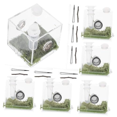 Abaodam 2 Sätze Reptilien Futterbox Transparent Belüftet Kleines Habitat für Springspinne und Insekten Zuchtbox aus Robustem Material zur Beobachtung und Pflege Kleiner Krabbeltiere Abaodam 2 Sätze Reptilien Futterbox Transparent Belüftet Kleines Habitat für Springspinne und Insekten Zuchtbox aus Robustem Material zur Beobachtung und Pflege Kleiner Krabbeltiere von Abaodam