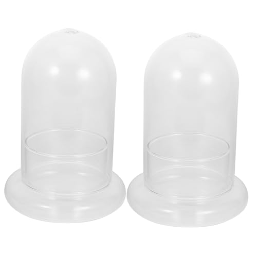 Abaodam 2stücke Miniatur Terrarium-Flasche Aus Glas Ökologische Landschaftsdose Für Pflanzen Moos Und Deko Für Wohn Und Büroräume Zu Anlässen Wie Weihnachten Und Geburtstagen Abaodam 2stücke Miniatur Terrarium-Flasche Aus Glas Ökologische Landschaftsdose Für Pflanzen Moos Und Deko Für Wohn Und Büroräume Zu Anlässen Wie Weihnachten Und Geburtstagen von Abaodam
