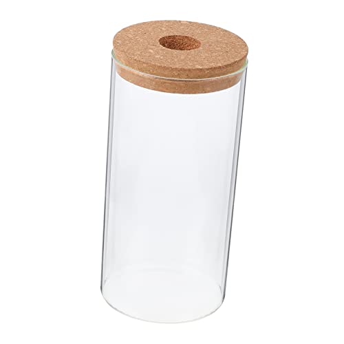 Abaodam Borosilikatglas Ökologischer Flasche Anlage Landschaftsbehälter Luftpflanzenterrarium Ökologische Glasflasche Mikro-landschaftspflanzerflasche Pflanzenflasche Aus Glas Transparent Abaodam Borosilikatglas Ökologischer Flasche Anlage Landschaftsbehälter Luftpflanzenterrarium Ökologische Glasflasche Mikro-landschaftspflanzerflasche Pflanzenflasche Aus Glas Transparent von Abaodam
