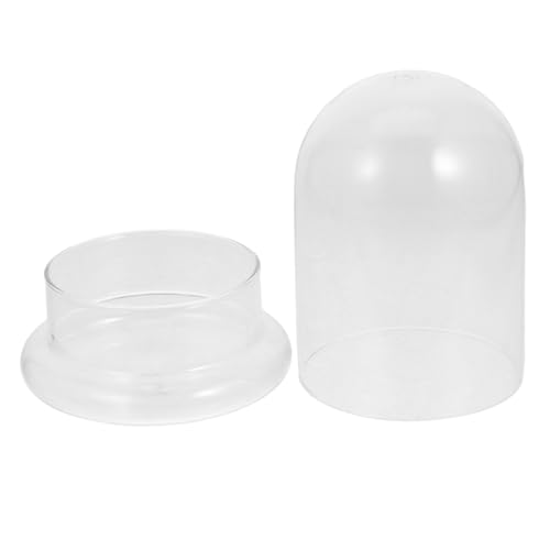 Abaodam DIY Mikrolandschaftsflasche Ökologische Terrarium Flasche für Moos und Pflanzen Dekorative Glasglocke für Innen und Außendekoration mit Öffnung Abaodam DIY Mikrolandschaftsflasche Ökologische Terrarium Flasche für Moos und Pflanzen Dekorative Glasglocke für Innen und Außendekoration mit Öffnung von Abaodam