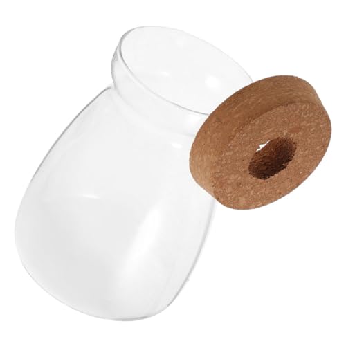 Abaodam Mikro Landschaftsflasche Pflanzen Desktop Dekoration Mikro Landschaftsbehälter Mikro Landschafts Terrarium Holz Hydrokultur Station Glas Terrarium Behälter Glas Abaodam Mikro Landschaftsflasche Pflanzen Desktop Dekoration Mikro Landschaftsbehälter Mikro Landschafts Terrarium Holz Hydrokultur Station Glas Terrarium Behälter Glas von Abaodam