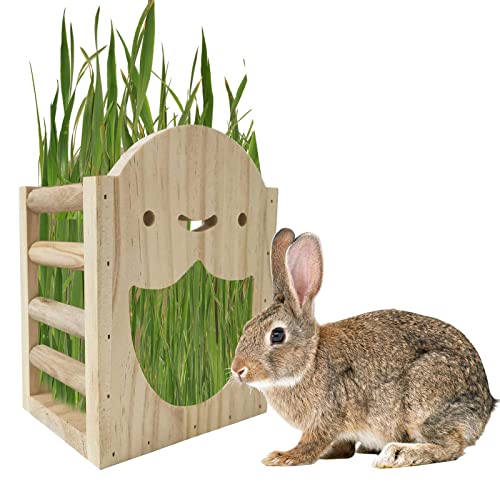 Holz Heufutter | Leiter Design Natürliche Holz Kaninchen Heuhalter Lagerung,Hase Lebensmittel Halter Heu Spender für Kaninchen Meerschweinchen Chinchilla 6.5x5x3.62 Zoll Abbto von Abbto