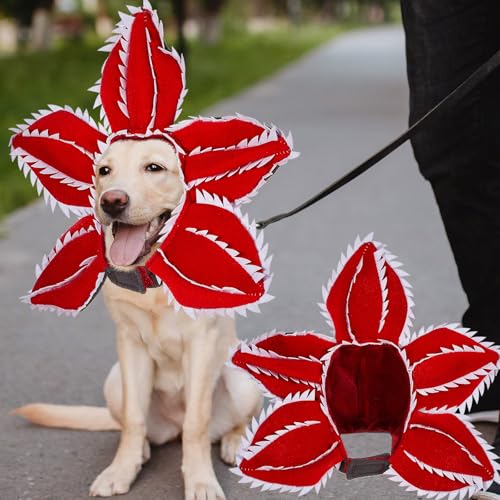 Abbylike 2 Stück Hunde Halloween Kostüme Niedliches Halloween Haustier Kostüm Outfits für mittelgroße große Hunde, Dämon Hund Cosplay Hut Kopfbedeckung für Hund Katze Haustier Halloween Outfit Cosplay von Abbylike