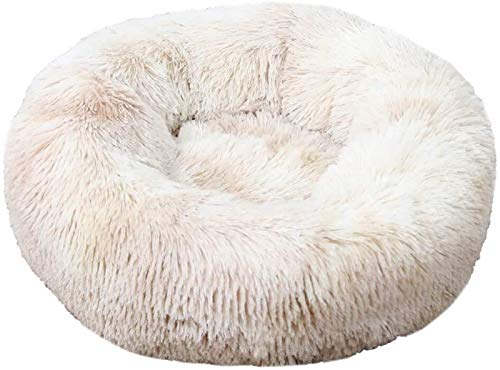 Abcoll Winter-warme Haustier-Bett, Hundebett Katzenbett Donut, Haustier-Bett-Pelz-Cuddler Runde Betten, Selbst Warming Donut Cuddler for Small Medium Large Hunde (Farbe : White, Größe : M) von Abcoll