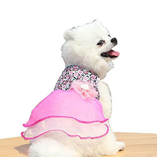 Abcsea 1 Stück Haustierkleidung Katze, Hundekleidung, Hundekleider, Katzenkleidungen, Hundekleidung Kleine Hunde, Rosa, XL von Abcsea