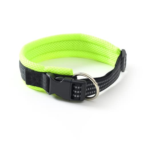 Abhpjuy Hundehalsband Atmungsaktives Nylon Geflochtenes Hundehalsband Praktische Schnalle Verstellbares Weiches Hundehalsband (Grün) von Abhpjuy