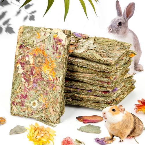 Abizoo Kaninchen Kauspielzeug Set,10 Stück natürliche Timothy heu Spielzeug kräcker Chinchilla Futter Hasen leckerlies mit kräuter für zwergkaninchen Meerschweinchen Hamster Kaninchen Snack rodicare von Abizoo