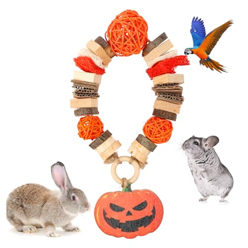 Abizoo Kaninchen Spielzeug Holz,Halloween Hamster Kauspielzeug Zahnpflege Leckerlis Kleintiere Chinchilla Meerschweinchen Hasen Hamster wellensittich Rennmäuse zubehör Kaubälle Apfelholz von Abizoo