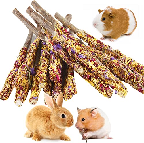 Abizoo Kaninchen kauspielzeug Set 18 Stück,Apfelstäbchen natürlichen Rose Ringelblume für Hasen, Hamster,Meerschweinchen,Chinchilla leckerli, Zahnpflege Molar Spielzeug Rabbit Chew Toy von Abizoo