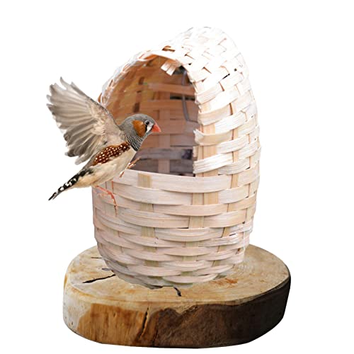 Abonda Vogelhaus, hängende Vogel-Nistkästen, natürlicher Bambus, handgewebte Vogelhäuser für Zuhause, Outdoor, Fenster, Terrasse, Garten, Geschenke von Abonda