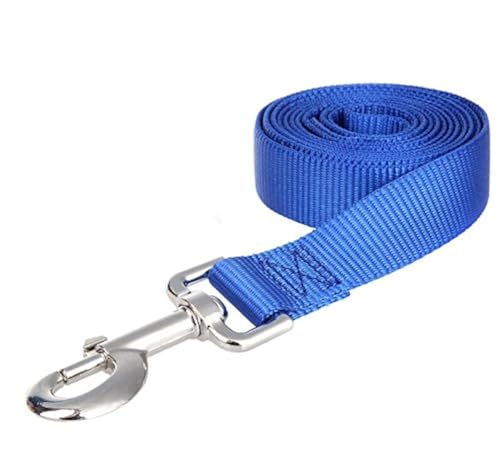 Accod Hundetrainingsleine, Haustierseil, tragbares Zugseil, einfache Nylonleine für kleine, mittelgroße und große Hunde, mit Edelstahl-Schnalle, 3 m x 2,5 cm, Blau von Accod