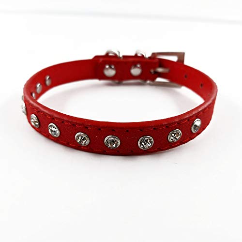 Accod Leder-Halsband für Katzen, Welpen, kleine, mittelgroße Hunde, verstellbar, 22–28 cm, bequemes Haustierhalsband, Rot von Accod