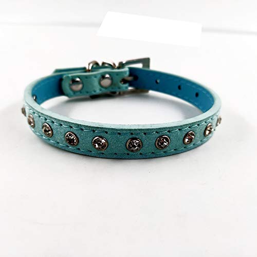 Accod Leder-Halsband für Katzen, Welpen, kleine, mittelgroße Hunde, verstellbar, 22–28 cm, bequemes Haustierhalsband (blau) von Accod