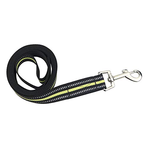 Accod Tragbare Hundeleine, Hundetraining, Seil, Nachtreflektion, Hundetraining, Walking, Laufen, Leine mit eng gewebtem Nylon für kleine, mittelgroße und große Hunde, 2 m lang (grün) von Accod