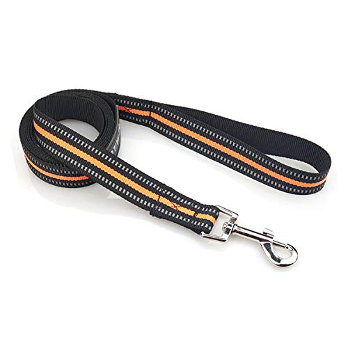 Accod Tragbare Hundeleine, Trainingsseil für Hunde, Nachtreflektion, Hundetraining, Spazierengehen, Laufleine mit eng gewebtem Nylon für kleine, mittelgroße und große Hunde, 2 m lang (Orange) von Accod