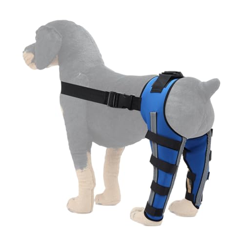 Aceirropy Hunde Hüftstütze, orthopädische Klammer für Hunde, Pet Orthopaedic Joint Support Brace, Beinstützungshalterung, Pet Knie Wundschutz für Verhinderung von Verletzungen und Verstauchungen von Aceirropy