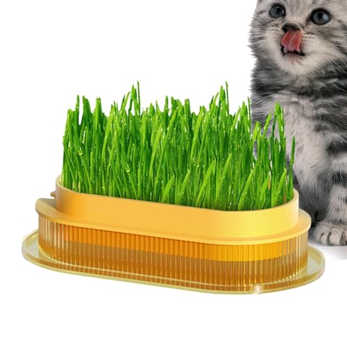 Aceirropy Katzengrastopf, Katzengraskasten,Katzengras-Pflanzkasten für den Innenbereich - Haushalts-Katzengras-Pflanzgefäß, separater Katzengraskasten, Katzenpflanzen-Pflanzkasten für den Innenbereich von Aceirropy