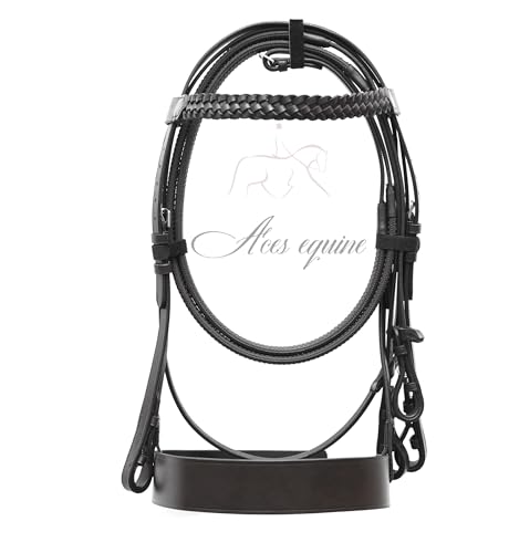 Aces Equine Reithalfter aus Leder, mit 5,1 cm Nasenriemen und 2,5 cm beschichtetem Stirnband, Premium-Qualität, Schwarz (Mini-Sheland) von Aces Equine