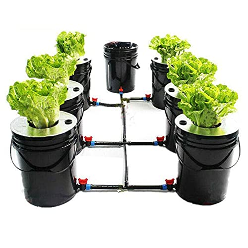 Acesunny Deep Water Culture Hydroponic System 7 Pot 20L Eimer Komplettsystem mit Pumpe Hydroponische wachsen Kits Erdlose Anbau System von Acesunny