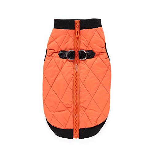 AchidistviQ Hundejacke für kaltes Wetter, warm, wasserdicht, winddicht, mit Reißverschluss, Winterbekleidung für kleine, mittelgroße und große Hunde, Größe S, Orange von AchidistviQ