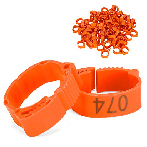 Acouto 100 Stück Geflügelfußring Huhn Ente Vogel Schnalle Typ Clip Ring mit Schild für Taube Taube Küken Bantam Wachteln Lovebirds Finken kleines Geflügel Huhn (orange) von Acouto