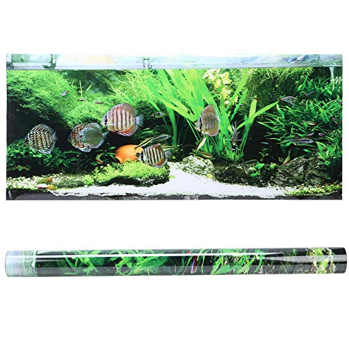 Acouto Aquarium Hintergrund Poster PVC Wasserdichter Aufkleber Selbstklebender Meeresboden Kleine Fische Wasserpflanzen Landschaft Bild Dekoration (61 30cm) von Acouto