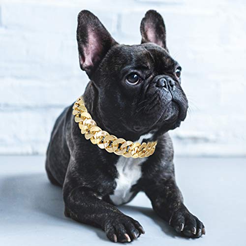 Haustier-Hundehe Hundehalsbönder, Haustier Hundehalsband Halskette Schmuck Zubehör Mode Metall für Teddy Bulldogge von Acouto