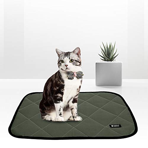 Acouto Hundebettmatte Ox Cloth Summer Pet Mat Kausicheres Hundebett für Groöe Mittelgroöe Kleine Haustiere Zum Schlafen (XL) von Acouto