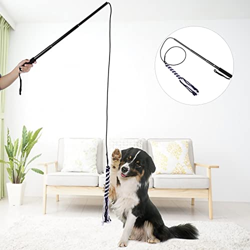 Acouto interaktivesble Dog Stick, Retractable Stick Cat Teaser Training Spielstab Haustier Holen Sie Sich Mehr übungsspielzeug für Kleine Mittelgroöe Hunde (L) von Acouto