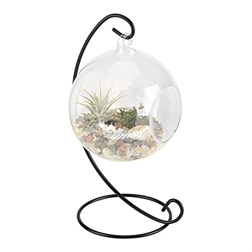 Borosilikatglas H?ngende Glase, Gro?es Terrarium mit Rahmen f¨¹r Luftpflanzen, Su Borosilikatglas, von Acouto