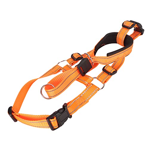 Halfter-Maulkorb für Hunde, Orange, Verstellbares Front-Control-Design, Atmungsaktiv, Verhindert Bellen, Hundekopf, Halfter, Mundschutz für das Training (M) von Acouto