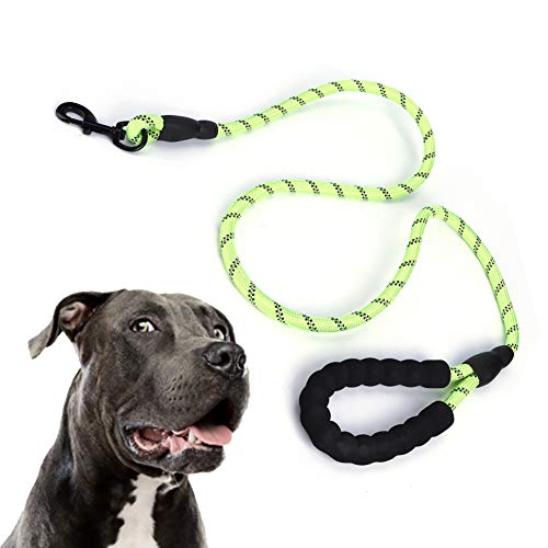 Acouto Hundetraining Ziehende Leine Nylon Reflektierende ekette Sicherheitsseil für Welpen Mittelgroöe e Laufen (Grün) von Acouto