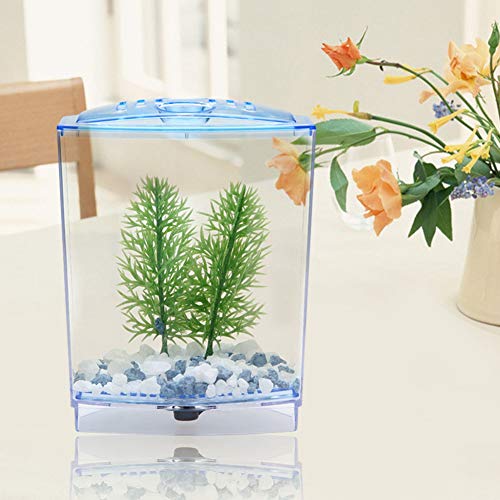 Acouto Spezifikation Material: Acryl Mini-Aquarium, Aquarium-Set, Aquarium, Fischzucht-Set, Kleines Aquarium, Killifische, Tropische Fische, Tischdekoration, Energiesparend, von Acouto